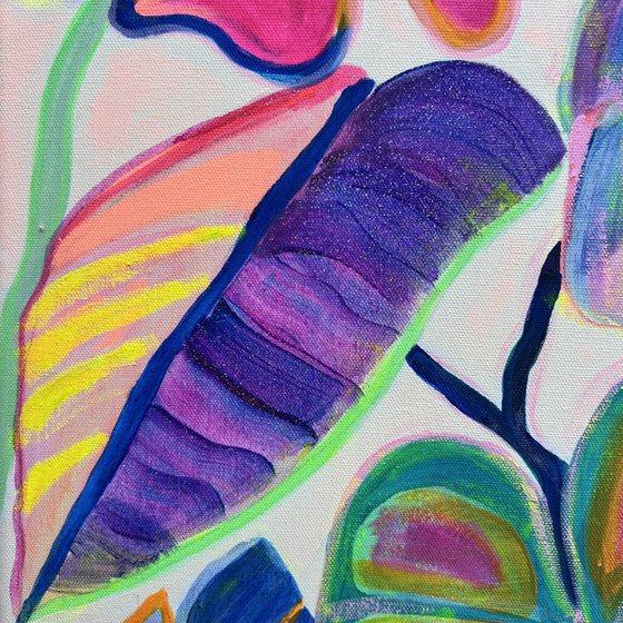 'Alocasia Revelation’