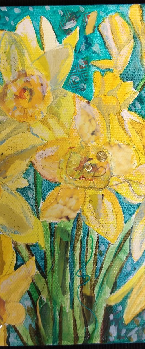 Daffodils by Fiona Plaisted