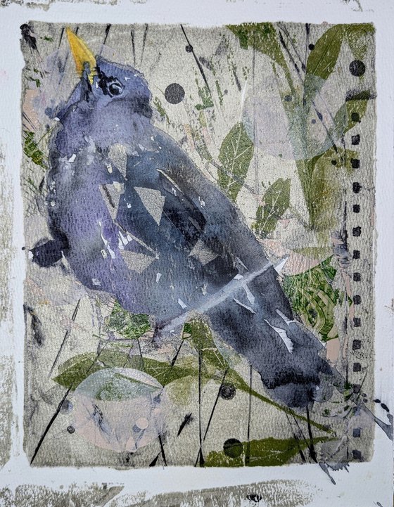 Mixed media starling