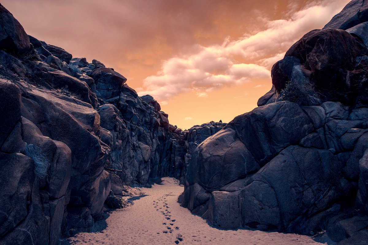 Mojave Winter by Mark Hannah