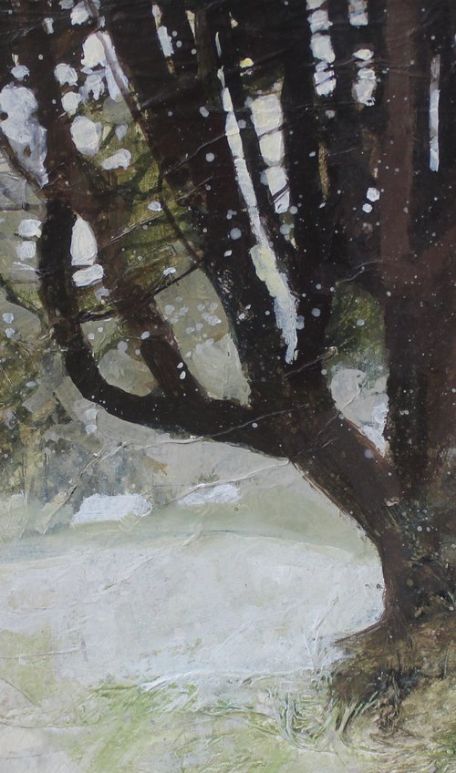 My Favourite Tree, Manor Gardens, Eastbourne by Julian Sutherland-Beatson