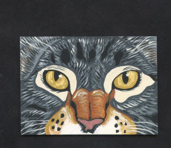 ACEO ATC Original Miniature Painting Tabby Cat Pet Feline Art-Carla Smale
