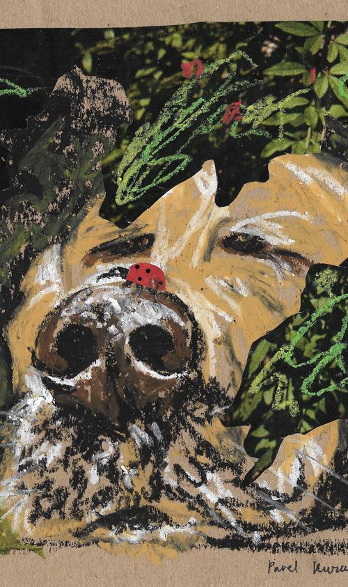 Dog and ladybug by Pavel Kuragin