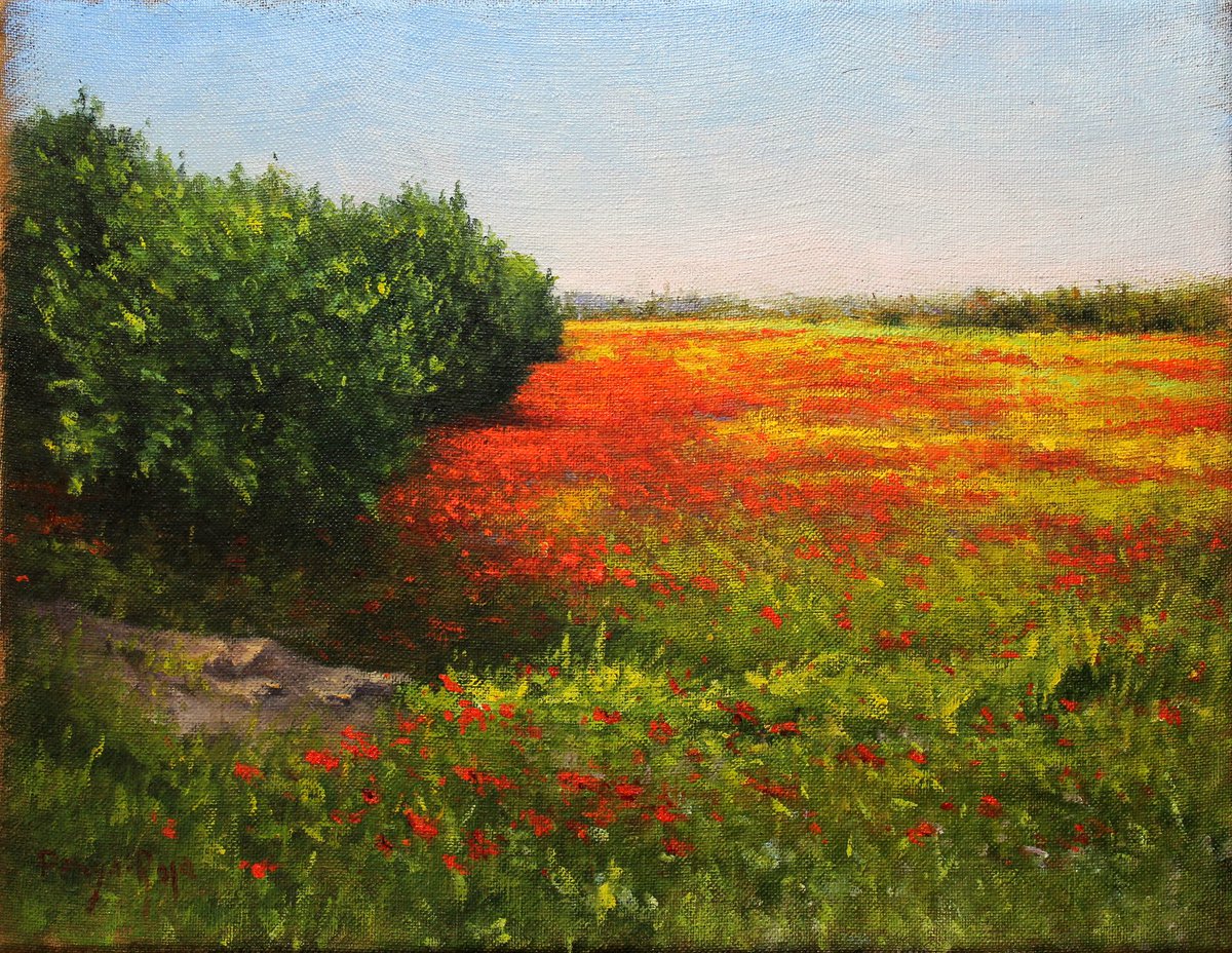 Field of poppies by Penya-Roja