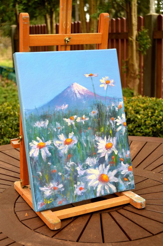 Japanese meadow daisies 40X30