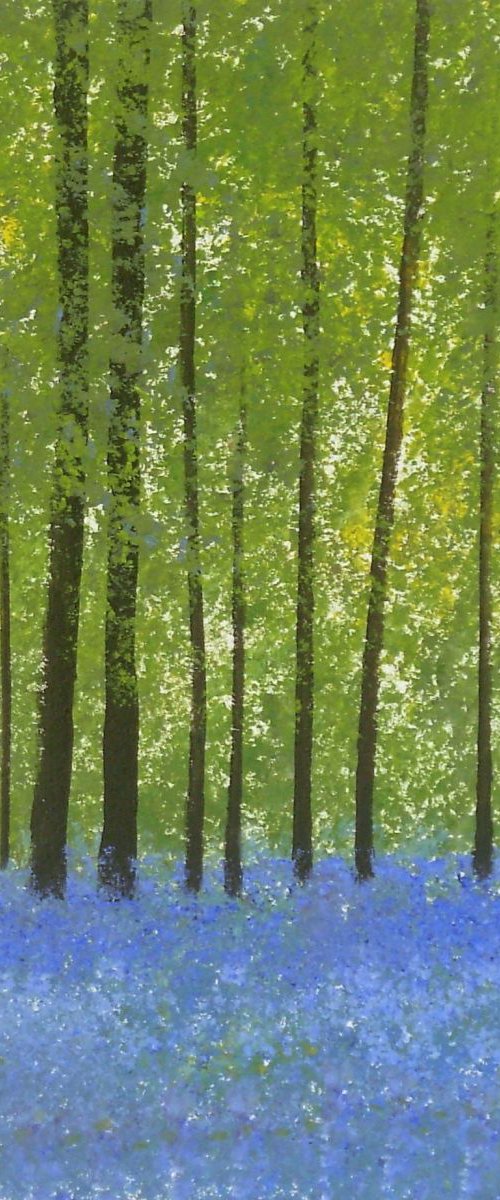 Bluebell Woods 5 by Jan Rippingham