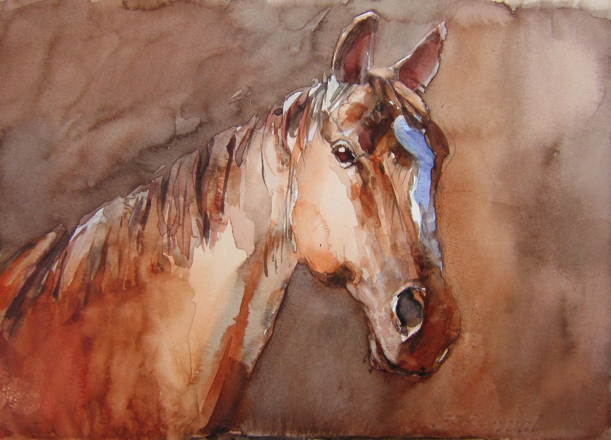 Animal Watercolour By Goran Zigolic Watercolors, 14 X 10, Horse In The Shadow Iii, Original Artwork