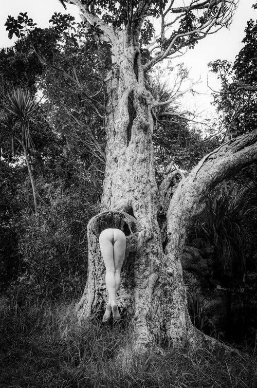 TREE WOMAN by Andrew Lever