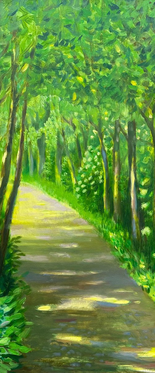 Sunny Forest by Fosco Culto