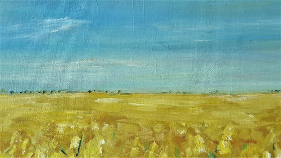 Golden fields and Blue skies - summer delight