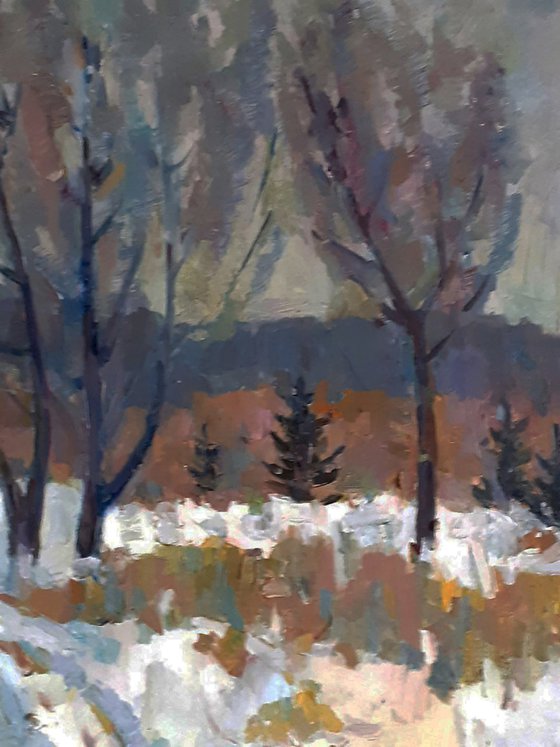 Christmas Trees Covered with Snow