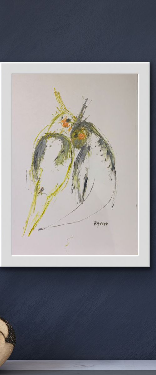 Shy Cockatiels by Ryan  Louder