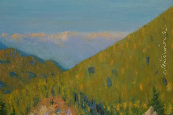 View from Jenner (Bavaria)