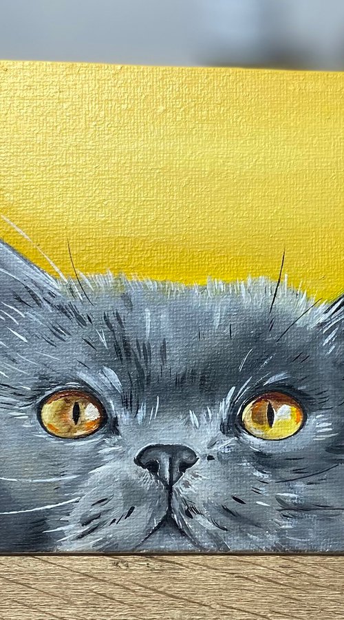 Peek a boo. Cat oil painting by Bethany Taylor