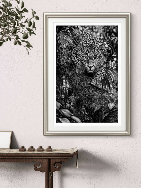 Jungle Leopard