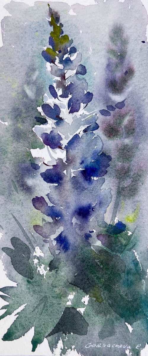 Lupins by Eugenia Gorbacheva