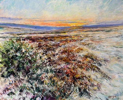 Winter Sun Over The Moor by Andrew Moodie