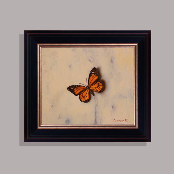 Still life - butterfly (24x28cm, oil on canvas, 34x37cm, framed)