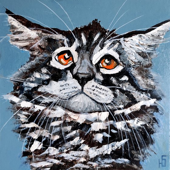 Funny cat Maine Coon