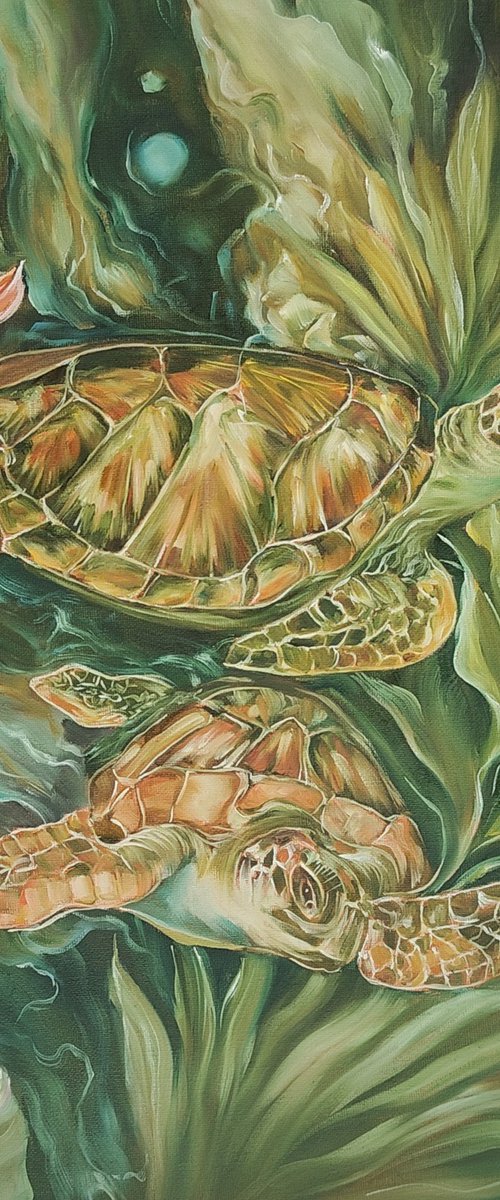 Turtles by Olga Van Dine