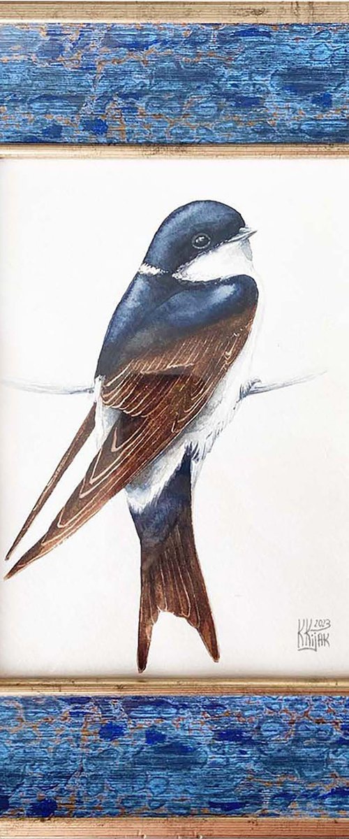 House Martin swallow Framed by Karolina Kijak