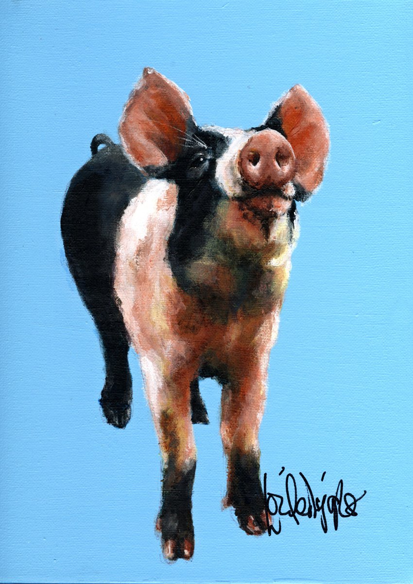Oink! by Louise Diggle