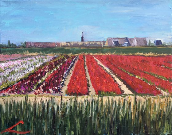 Tulip fields of Lisse