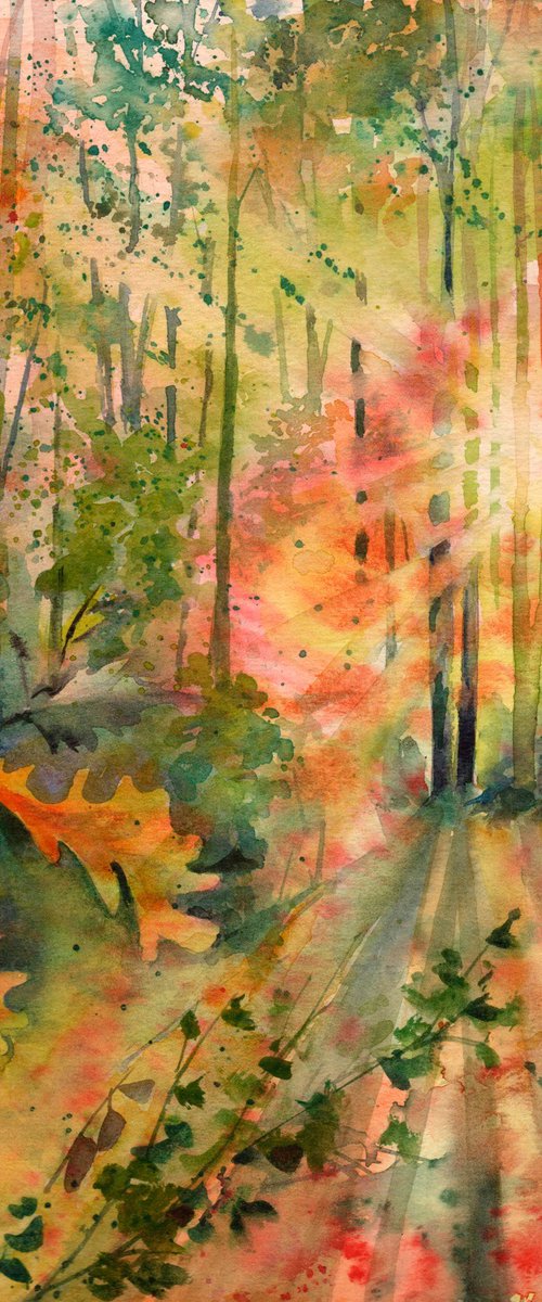 Autumn woodland , Original watercolour painting by Anjana Cawdell