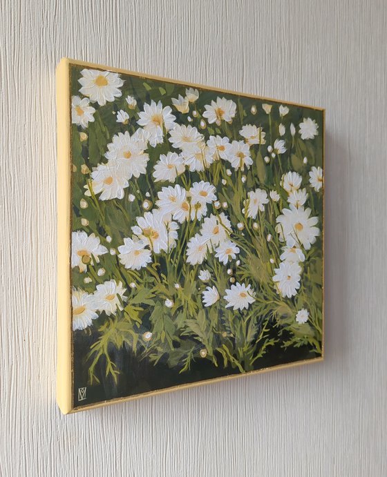 Daisies, "Moments" series