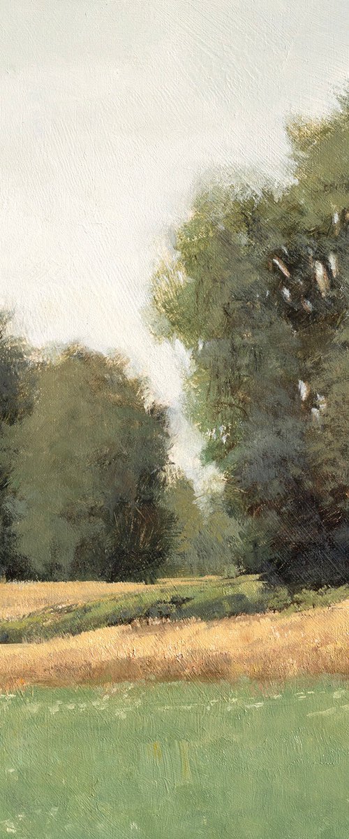 Afternoon Farm Field 251011 by Don Bishop
