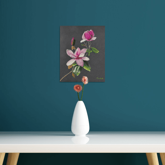 Magnolia