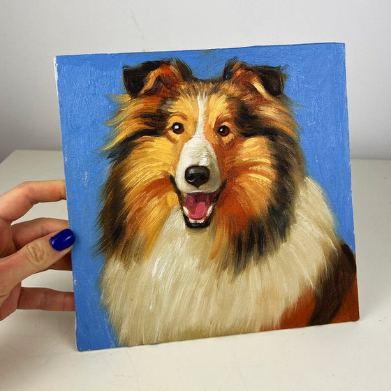 Rough Collie