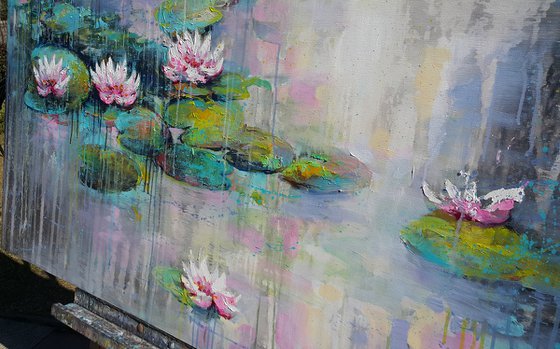 Water Lilies