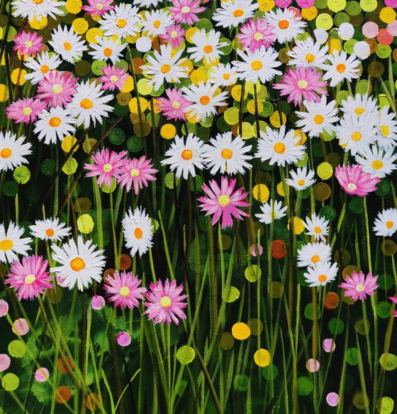 Daisies in the Wind