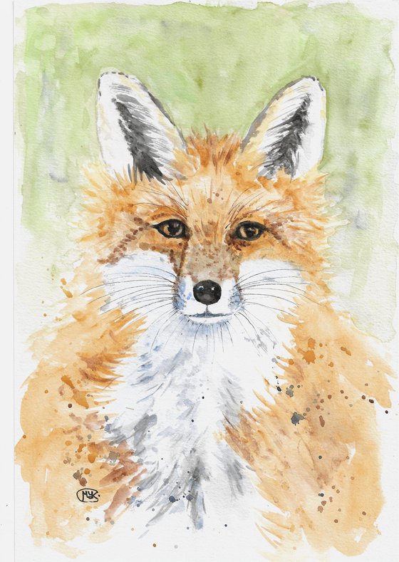 Red Fox