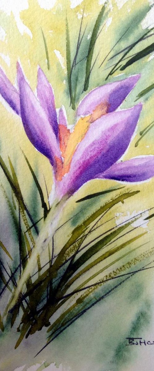 Crocus by BARBARA  HARLOW