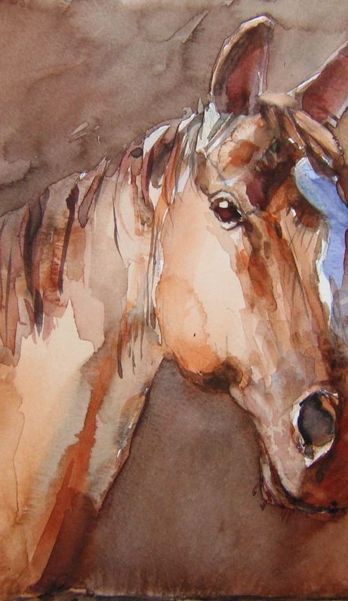 horse in the shadow III by Goran Žigolić Watercolors
