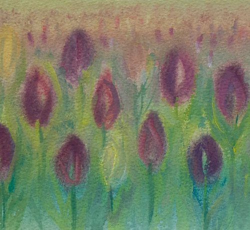 In the tulips by Samantha Adams