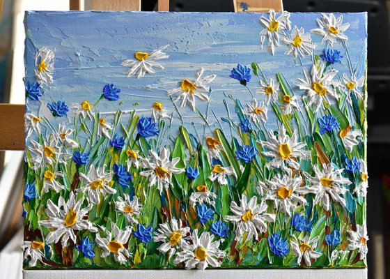 Field of Daisies