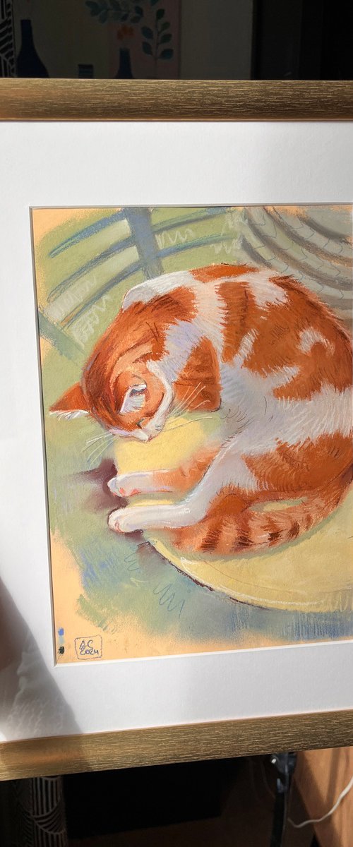 a sleeping ginger cat in a cafe by Alexandra Sergeeva