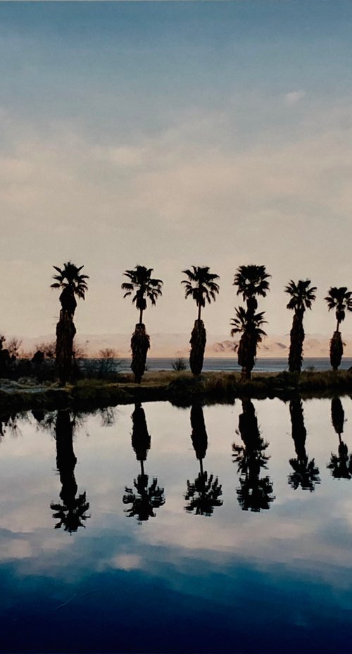 Zzyzx Resort Pool, Soda Dry Lake, California by Richard Heeps