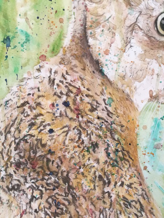 Remain Calm ( on paper ) Free Shipping Hare Painting on Paper.