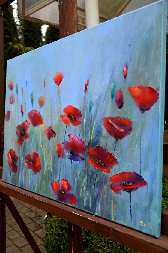Poppies fantasy