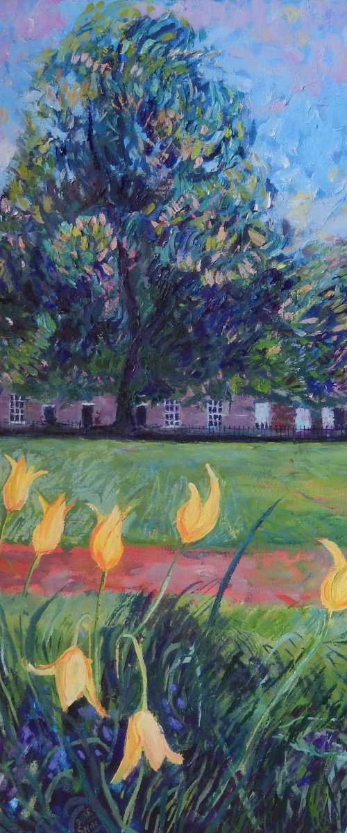 Tulips In Saxe Coburg Place, Edinburgh' - Oil paint on canvas - 50x76 by Stephen Howard Harrison