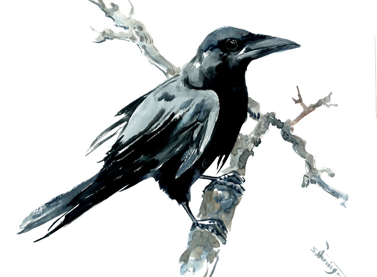 Crow watercolor painting by Suren Nersisyan
