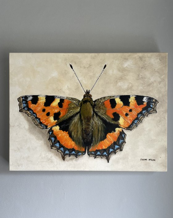 Small Tortoiseshell