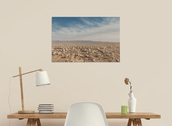 Desert landscape