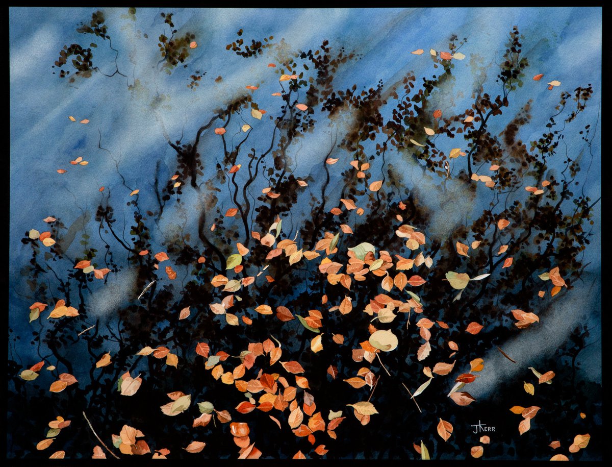 Leaves on a Pond by John Kerr