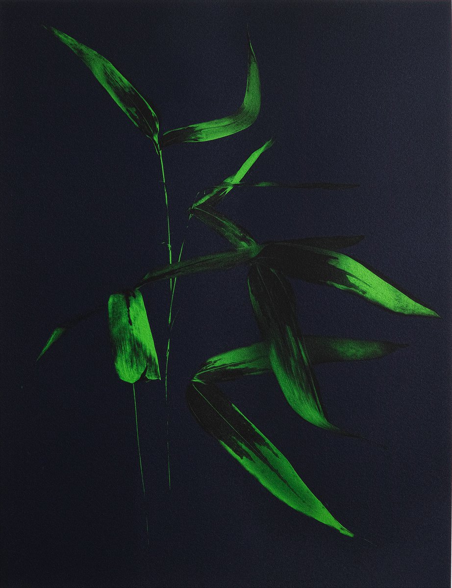 Bamboo#001 by Keiichiro Muramatsu