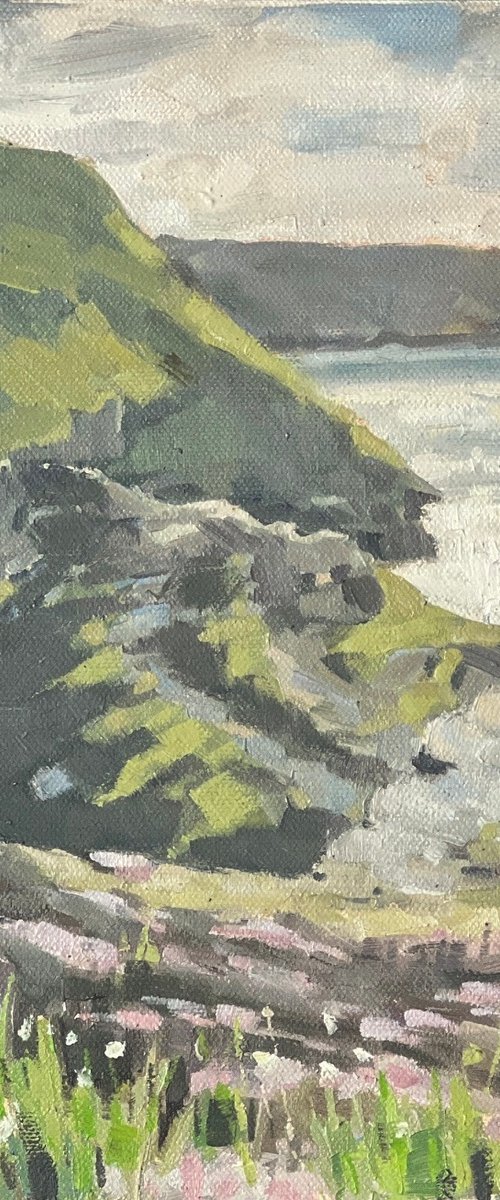 Boscastle from the cliffs by Louise Gillard
